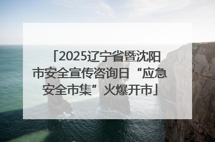 2025辽宁省暨沈阳市安全宣传咨询日“应急安全市集”火爆开市