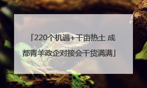 220个机遇+千亩热土 成都青羊政企对接会干货满满