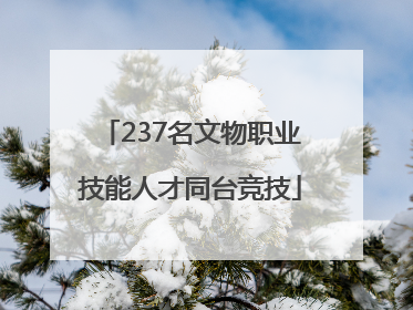 237名文物职业技能人才同台竞技