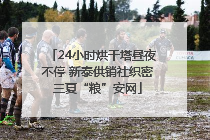 24小时烘干塔昼夜不停 新泰供销社织密三夏“粮”安网