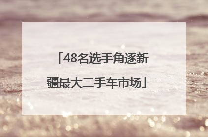 48名选手角逐新疆最大二手车市场