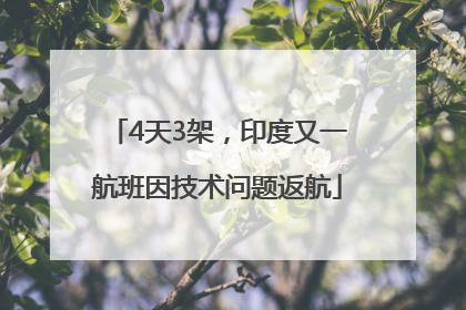 4天3架，印度又一航班因技术问题返航