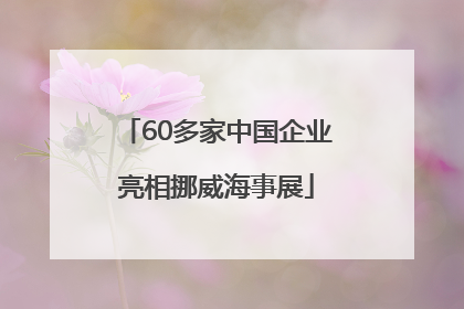 60多家中国企业亮相挪威海事展