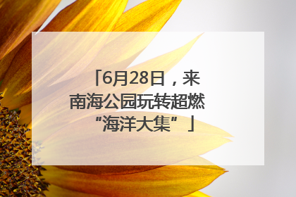 6月28日，来南海公园玩转超燃 “海洋大集”