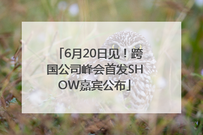 6月20日见！跨国公司峰会首发SHOW嘉宾公布