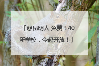 @昆明人 免费！40所学校，今起开放！
