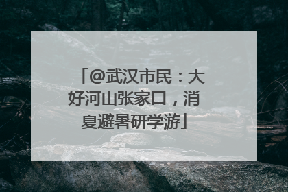 @武汉市民：大好河山张家口，消夏避暑研学游