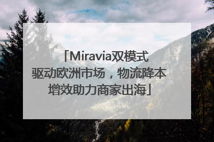 Miravia双模式驱动欧洲市场，物流降本增效助力商家出海